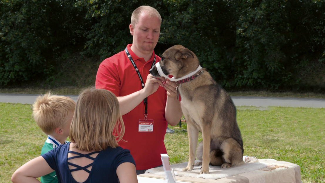 TSV Muldental e.V. Kurs Erste Hilfe am Hund