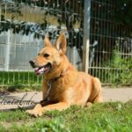 https://tsv-muldental.de/wp-content/uploads/2015/05/06-14-lucky-5db.jpg