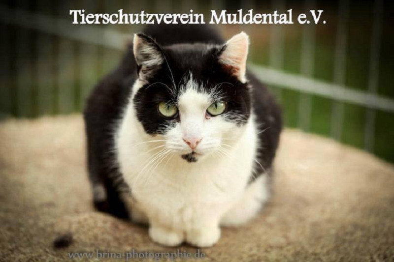 fritzi_03