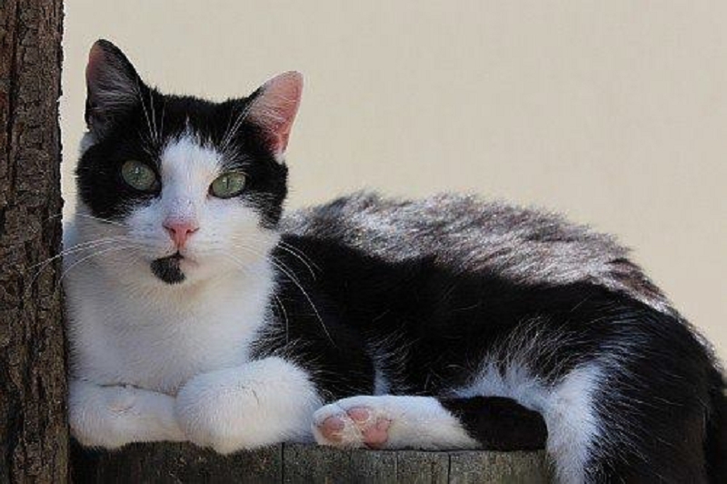 fritzi_05