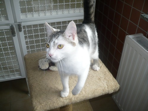 hilde_02
