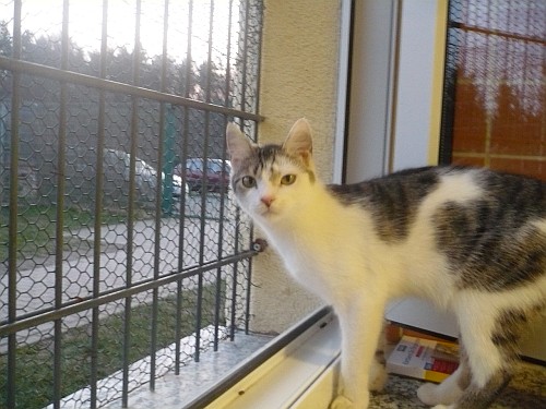 hilde_05