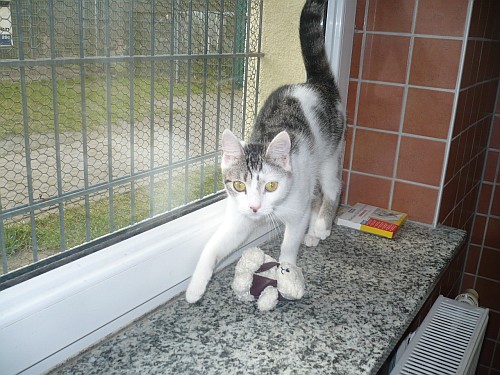 hilde_06