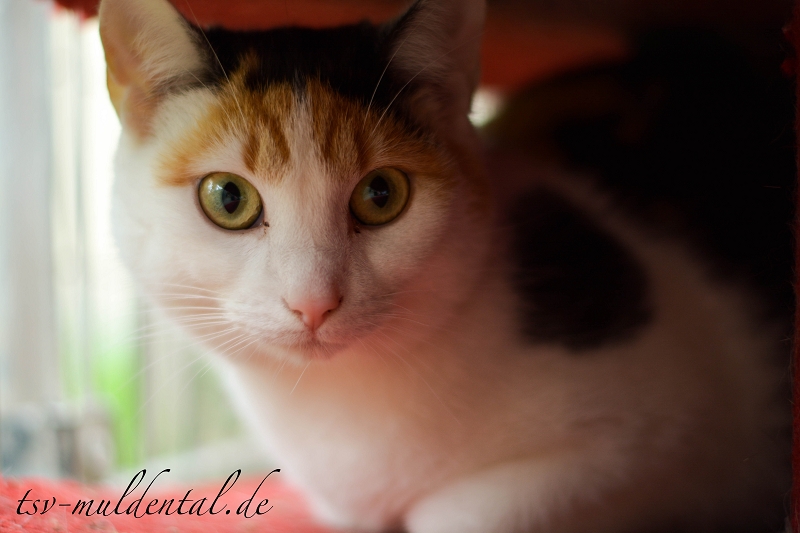 louise_06