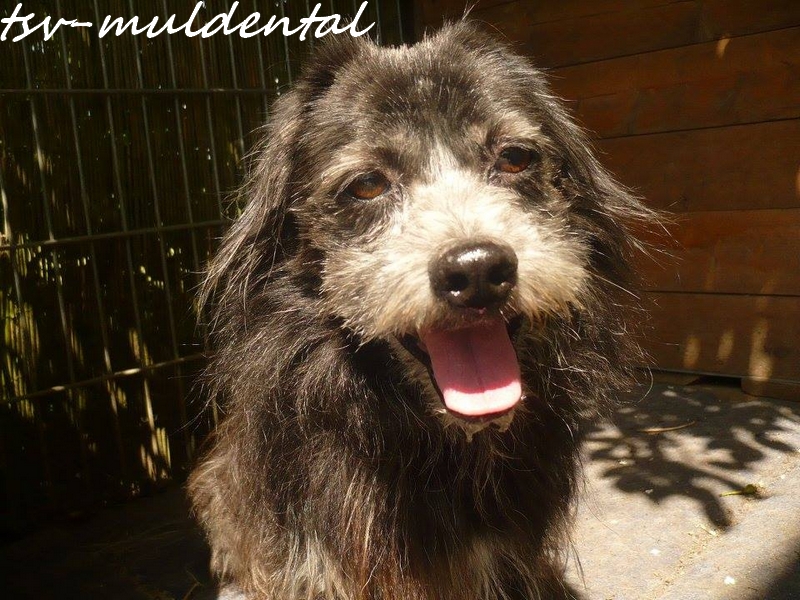 paule_01