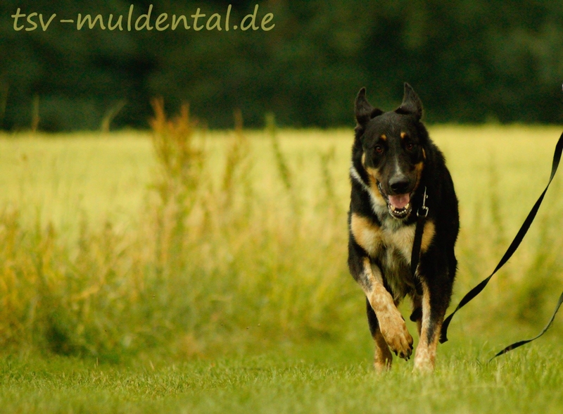 06-16-oskar-cba