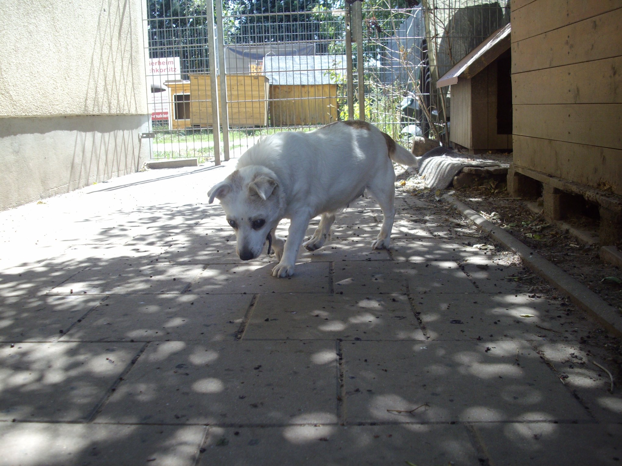 05-18-sunny-fcb