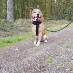https://tsv-muldental.de/wp-content/uploads/2021/11/247015375_4425833487516000_2555675632758191389_n.jpg