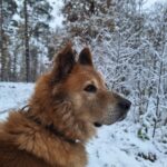 https://tsv-muldental.de/wp-content/uploads/2021/11/406651946_6831214640311194_4655572651743200888_n.jpg
