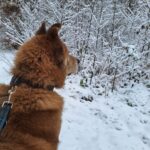 https://tsv-muldental.de/wp-content/uploads/2021/11/406662063_6831218763644115_3138775563139213450_n.jpg