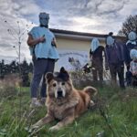 https://tsv-muldental.de/wp-content/uploads/2021/11/464950911_8524632970969344_1913951036764177370_n.jpg