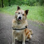 https://tsv-muldental.de/wp-content/uploads/2021/11/gitte-13.jpg