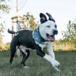 https://tsv-muldental.de/wp-content/uploads/2022/06/k-Pombaer-44.jpg