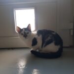 https://tsv-muldental.de/wp-content/uploads/2025/05/397577599_6756207444478581_4205120883945140238_n.jpg