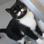https://tsv-muldental.de/wp-content/uploads/2025/05/422673411_7050059005093422_8685906538521804544_n.jpg