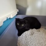 https://tsv-muldental.de/wp-content/uploads/2025/05/456409941_8021229281309718_7496088153940489599_n.jpg