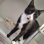 https://tsv-muldental.de/wp-content/uploads/2025/05/462596475_8403210139778295_636639016544482339_n-Kopie.jpg