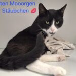 https://tsv-muldental.de/wp-content/uploads/2025/05/462600225_8403207553111887_311061051693414538_n.jpg
