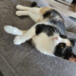 https://tsv-muldental.de/wp-content/uploads/2025/05/464909351_8497827360316572_5061678148625099682_n.jpg
