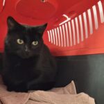 https://tsv-muldental.de/wp-content/uploads/2025/05/465144366_8524707644295210_6952957427039849747_n.jpg