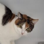 https://tsv-muldental.de/wp-content/uploads/2025/05/473278063_8936662629766374_1201576309495086519_n.jpg