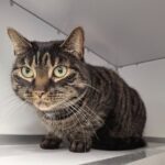 https://tsv-muldental.de/wp-content/uploads/2025/05/480495986_9136702186429083_8245281352124824977_n.jpg