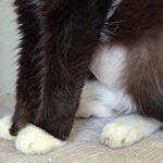 https://tsv-muldental.de/wp-content/uploads/2025/05/486280029_9341445529288080_5886165240454966430_n.jpg
