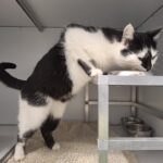 https://tsv-muldental.de/wp-content/uploads/2025/05/486368194_9341440435955256_4243856496208327755_n.jpg