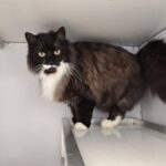 https://tsv-muldental.de/wp-content/uploads/2025/05/488209183_9404190169680282_1315521292134572748_n.jpg