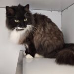 https://tsv-muldental.de/wp-content/uploads/2025/05/488486654_9404188479680451_8821056757586836390_n.jpg