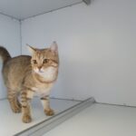 https://tsv-muldental.de/wp-content/uploads/2025/05/499219238_9743565665742729_5094924753817527550_n.jpg