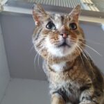https://tsv-muldental.de/wp-content/uploads/2025/07/488648711_9404194979679801_1761538332783699536_n.jpg