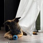 https://tsv-muldental.de/wp-content/uploads/2025/08/516567211_23884689737870418_7706888452659089306_n.jpg