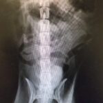 https://tsv-muldental.de/wp-content/uploads/2025/09/1000167500.jpg