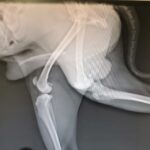 https://tsv-muldental.de/wp-content/uploads/2025/09/1000167503.jpg