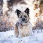 https://tsv-muldental.de/wp-content/uploads/2025/09/489782434_9444059562360009_3005023695045845240_n.jpg