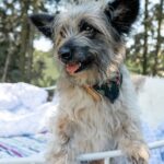 https://tsv-muldental.de/wp-content/uploads/2025/09/k-Bella-11.jpg