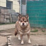https://tsv-muldental.de/wp-content/uploads/2026/04/660400916_26182882021384500_3332789858863532711_n.jpg