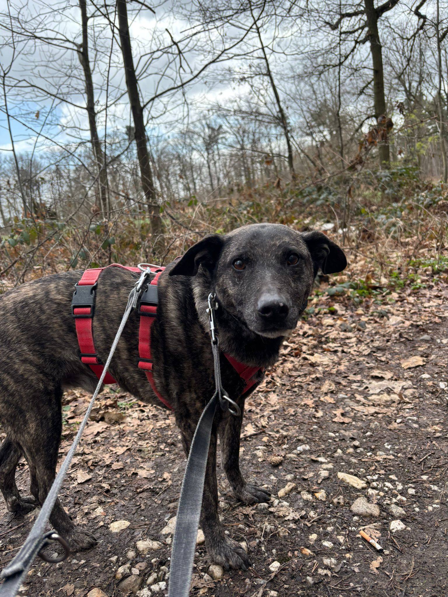 Tutnix – Bero – süßer Marmorkuchen sucht süßes Leben