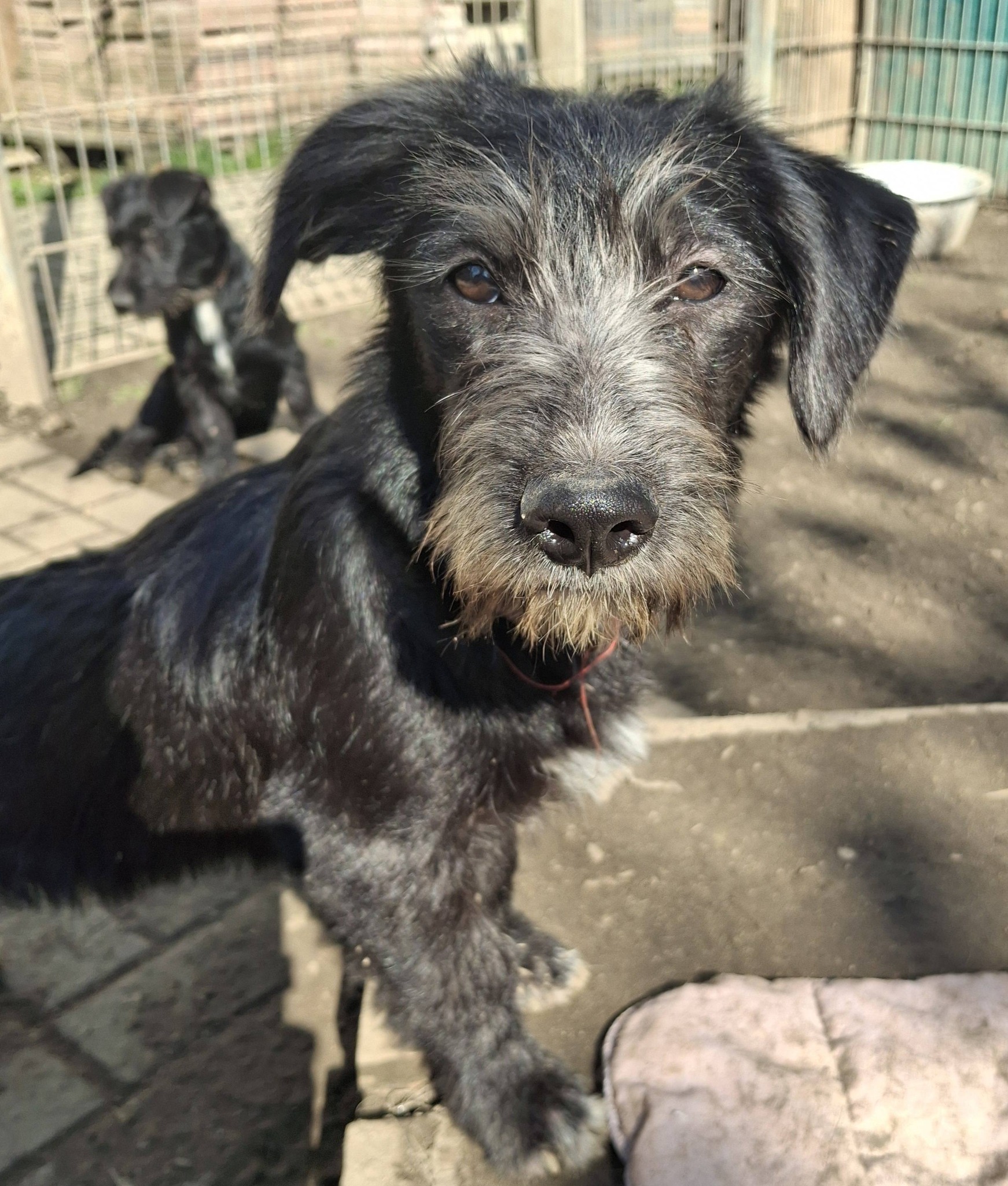 Butz – BibaButzelmann