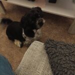 https://tsv-muldental.de/wp-content/uploads/2026/06/675386261_1364756852350220_4745728037478305886_n.jpg