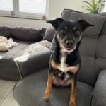 https://tsv-muldental.de/wp-content/uploads/2026/08/1.jpg