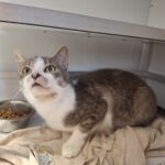 https://tsv-muldental.de/wp-content/uploads/2026/08/1000421749.jpg
