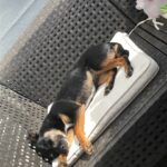 https://tsv-muldental.de/wp-content/uploads/2026/08/16.jpg