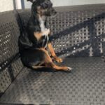 https://tsv-muldental.de/wp-content/uploads/2026/08/17.jpg