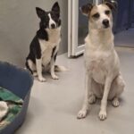 https://tsv-muldental.de/wp-content/uploads/2026/08/577588071_24954768000862581_3210503971515474810_n.jpg