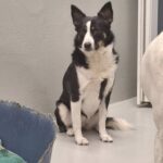 https://tsv-muldental.de/wp-content/uploads/2026/08/578318850_24954774867528561_7883485882121755509_n.jpg