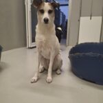 https://tsv-muldental.de/wp-content/uploads/2026/08/579005670_24954763614196353_4870511261687461246_n.jpg