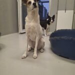https://tsv-muldental.de/wp-content/uploads/2026/08/579092389_24954780354194679_6842203393097671153_n.jpg