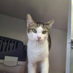 https://tsv-muldental.de/wp-content/uploads/2026/08/741918497_27358895803783110_699505072534341440_n.jpg